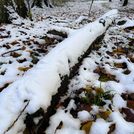 Zima 2023. Pierwszy śnieg w Rzeszowie [Park im. Szafera] - fot 22
